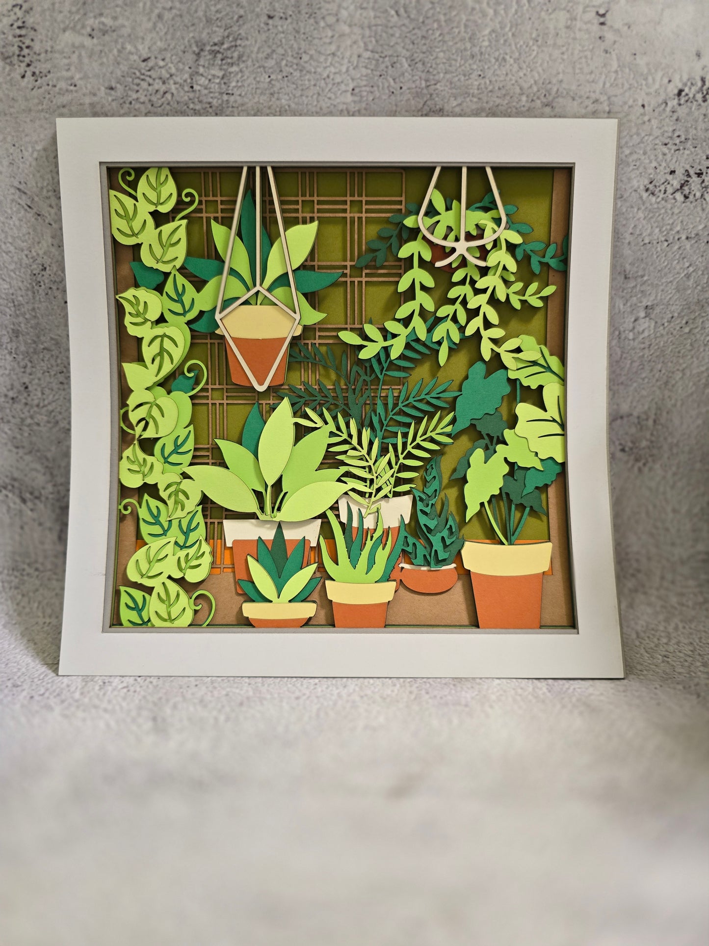 Plants (made to order)