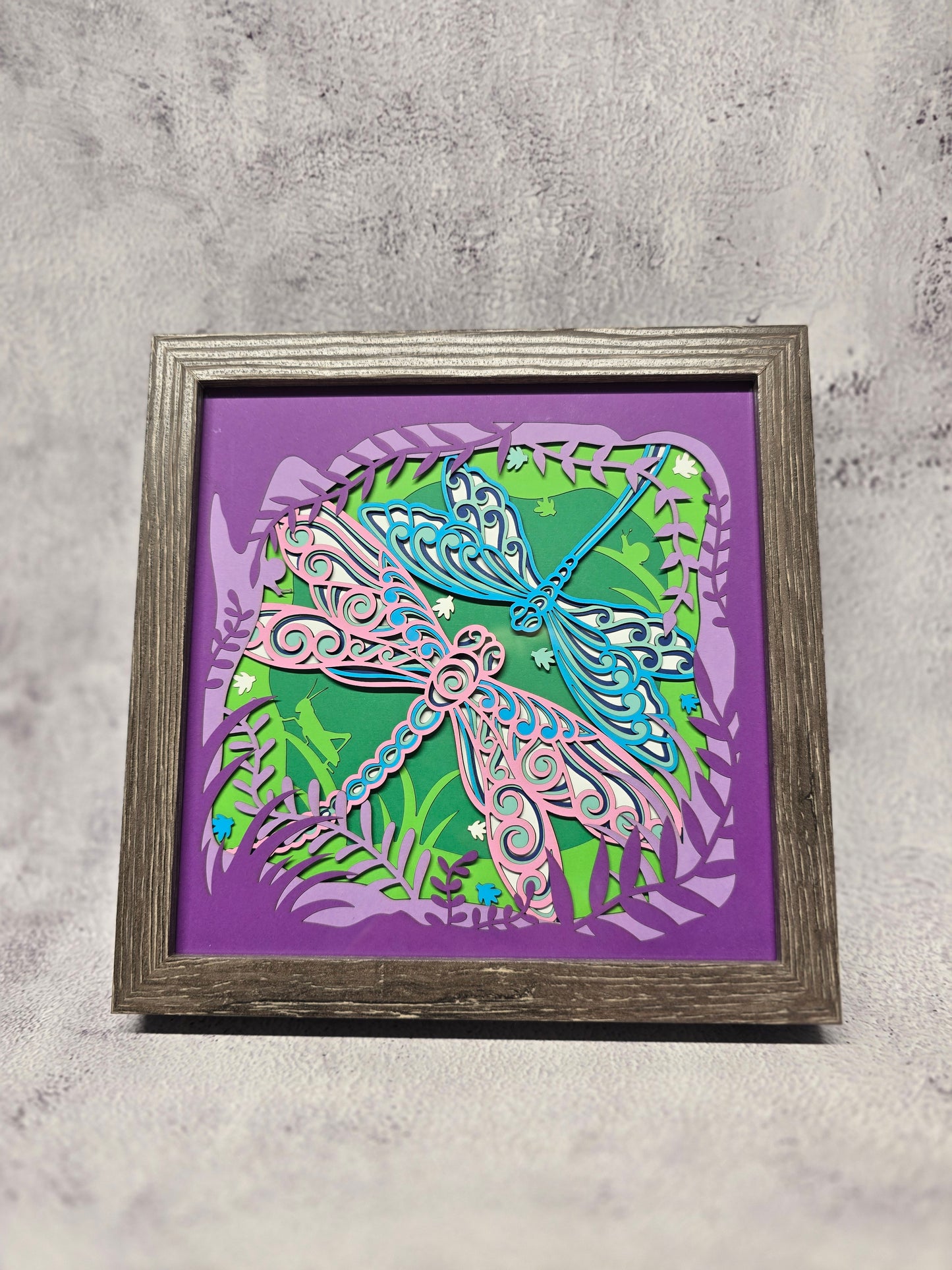 Dragonflies shadow box