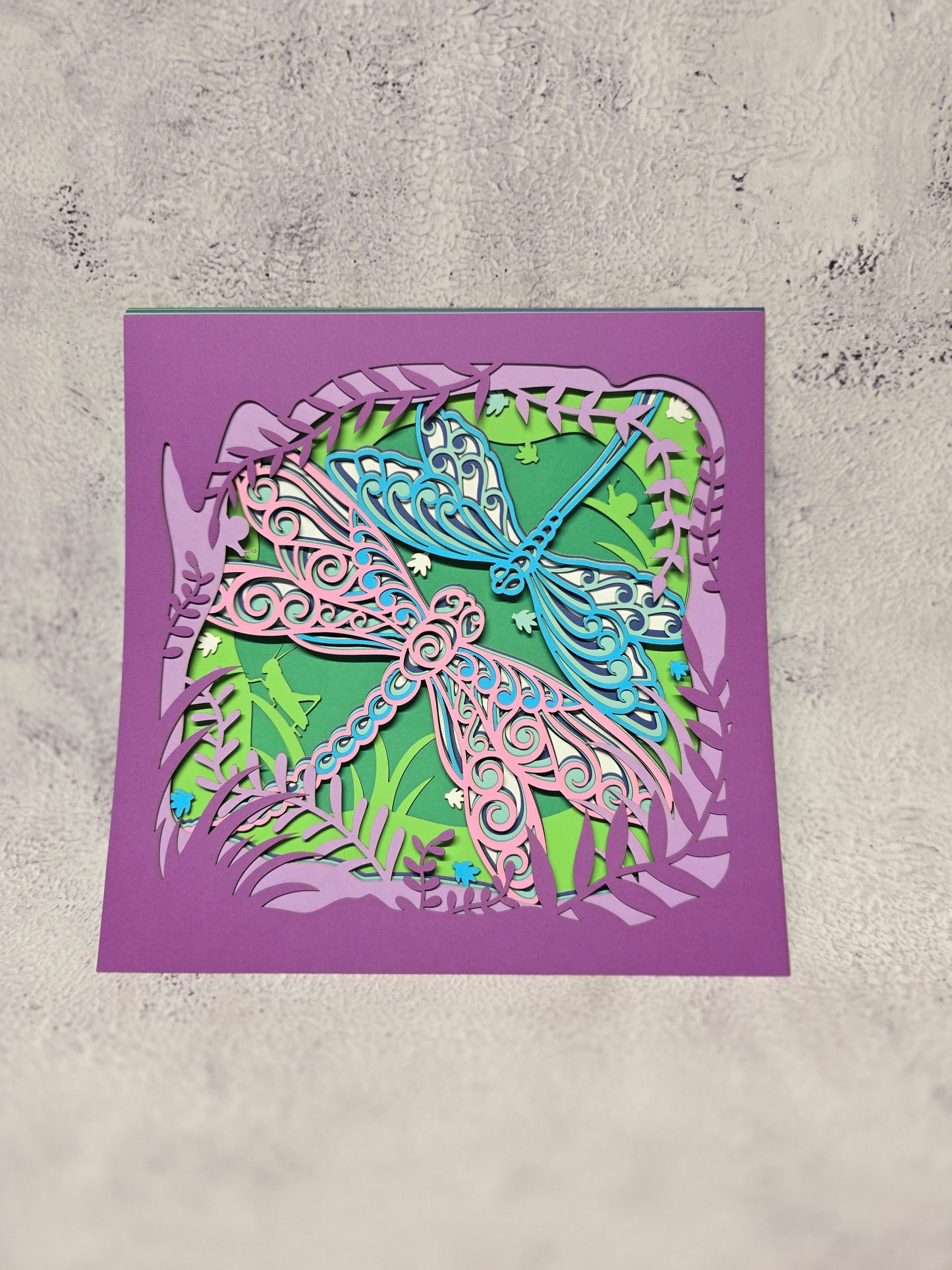 Dragonflies shadow box