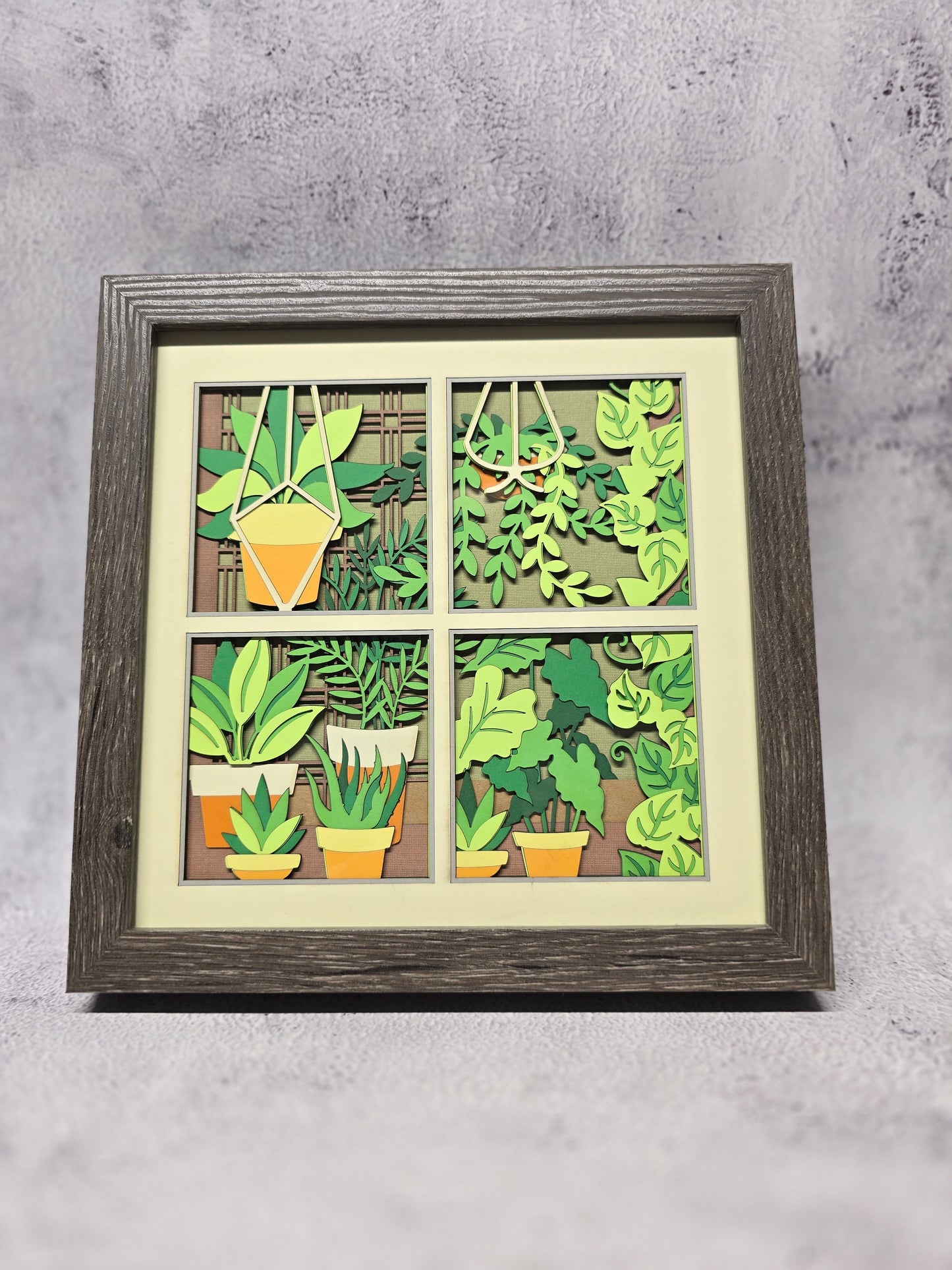 Plant Window